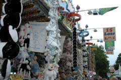 DSCN0017