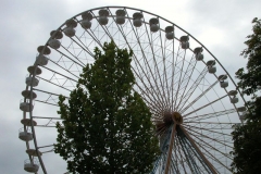 DSCN0031