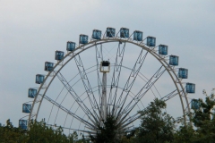 DSCN0332