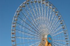 DSCN0105