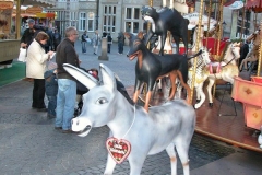 DSCN0164
