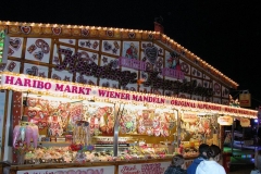 DSCN0239