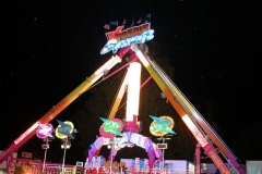 DSCN0262