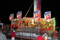 DSCN0271
