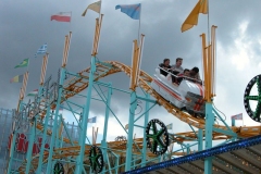 DSCN0071