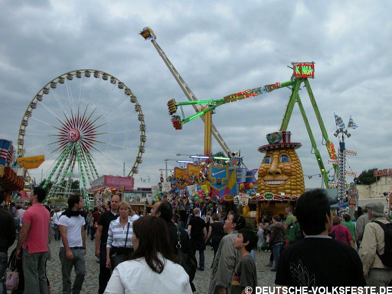 DSCN0234