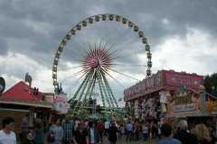 DSCN0082
