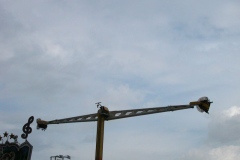 DSCN0126