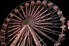 DSCN0238