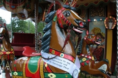 DSCN0207