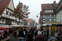 DSCN0361