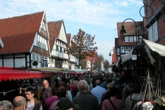 DSCN0379