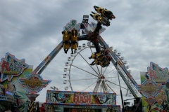 DSCN0084