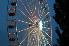 DSCN0205