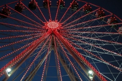 DSCN0226