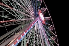 DSCN0296