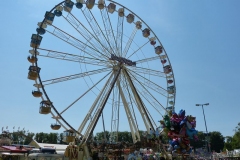 P1190095