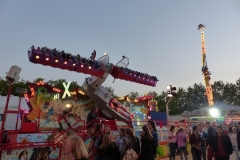 P1000564