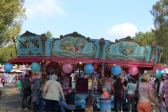 P1000650