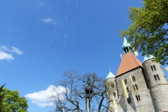P1080629