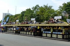 P1100482