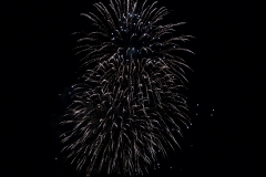 P1130811