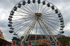 P1140100