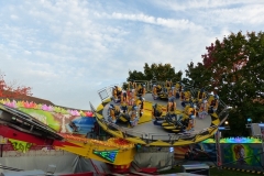P1140553