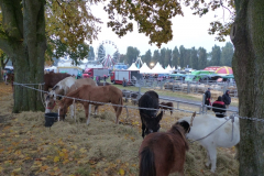 P1290032