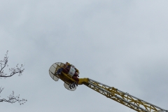 P1310659