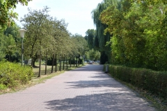 P1450831