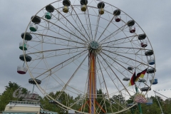 P1000976