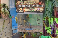 P1010167
