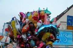 DSCN1238_77