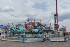 P1030739