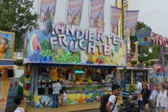 P1030950