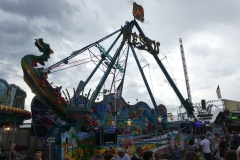 P1030973