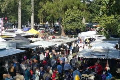 P1060548