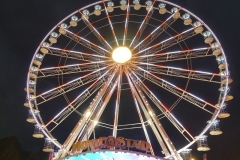 P1130990
