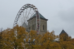 P1140554