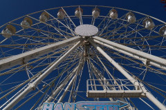 P1005556