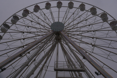 P1006689
