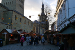 P1033954