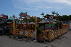 P1009351