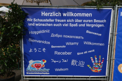 P1021426