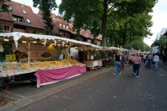 P1026491
