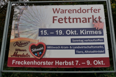 P1031134