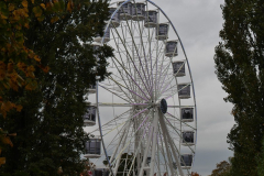 P1031261
