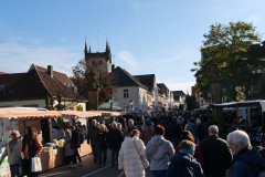 P1031623