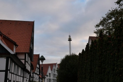 P1033044